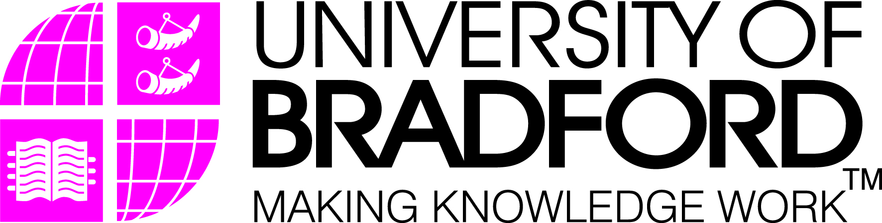 Bradford University
