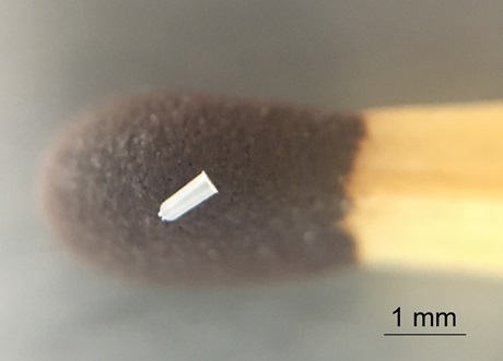 Figure 1: Micro injection moulded part used in medical applications. It has a volume of 0.07 mm3 and a mass of 0.1 mg.